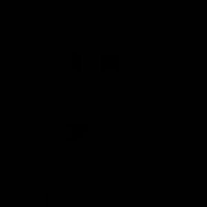 RESEVERED FOR HANNAH!!!